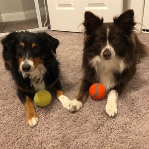 Meet your Posher, Colby